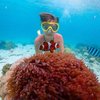 Подводная Одиссея — фото 7